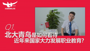 北大青鸟常务副总裁陈峰波老师专访