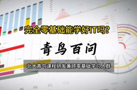 青鸟百问：完全零基础能学好IT吗？